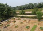 Biospheric Foundation Summer 2013